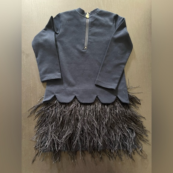 A Dee 2 piece dress set, crystal embellished top, feather skirt. Size 4 - Picture 2 of 6